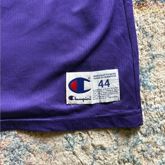 Vintage Champion NBA Charlotte Hornets Larry Johnson Jersey Large - Picture 3 of 6